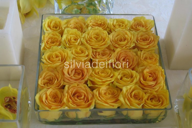rose gialle matrimonio rose gialle matrimonio
