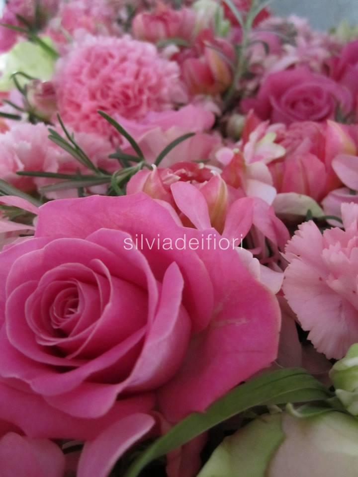 rose aqua rose aqua