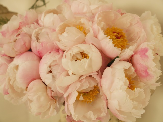peonie per matrimonio luglio