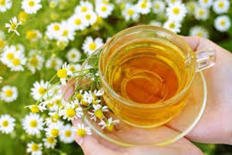 a cosa serve l’infuso alla camomilla a cosa serve l'infuso alla camomilla