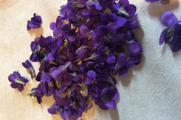 Ricette con violette Ricette con violette