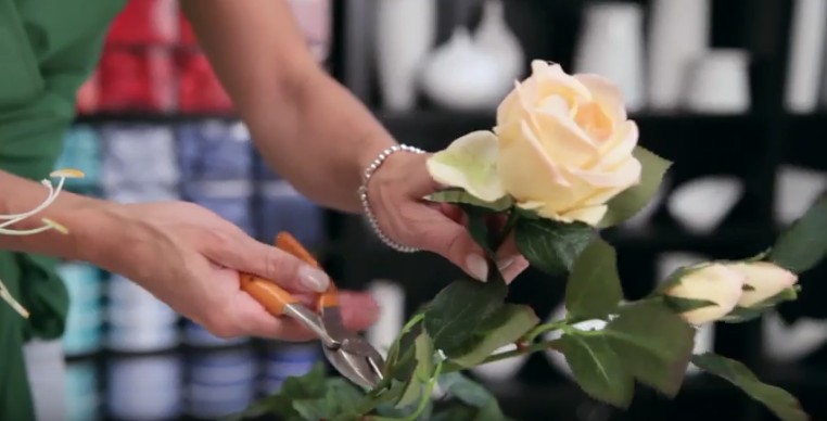 rose pesca rose pesca