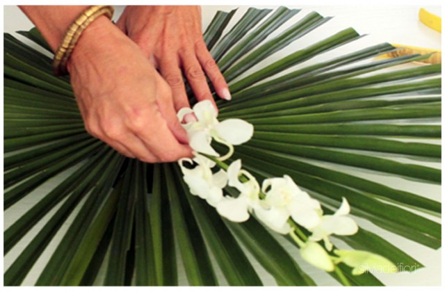 dendrobium