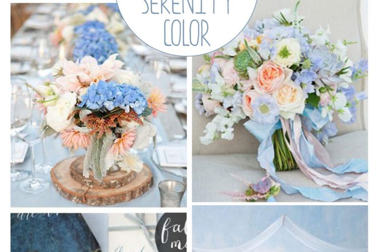 SERENITY COLOR 2016 SERENITY COLOR 2016
