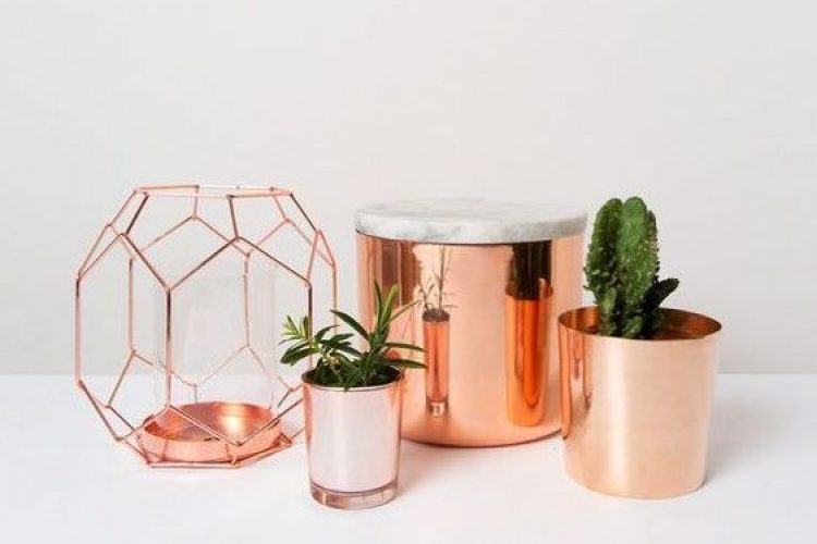 piante marble copper (1)