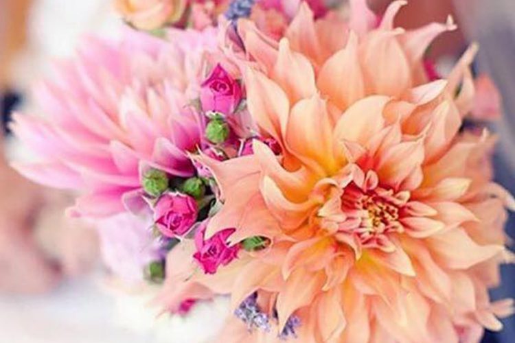 bouquet sposa 16 bouquet sposa 16