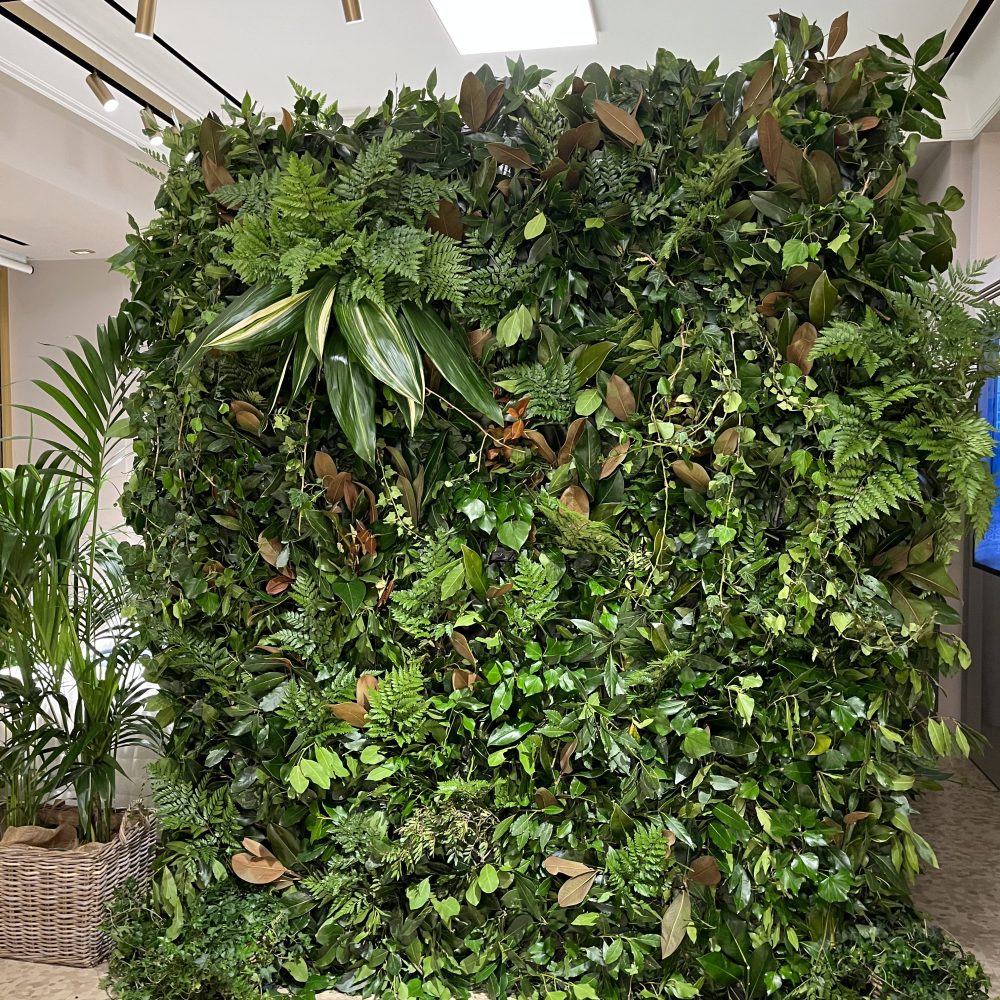creazione green wall