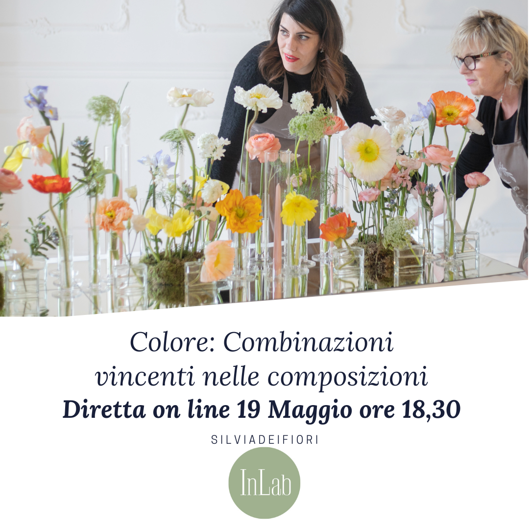 Colore: Combinazioni vincenti nelle composizioni Diretta on line
