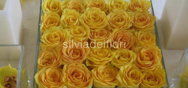 rose gialle matrimonio