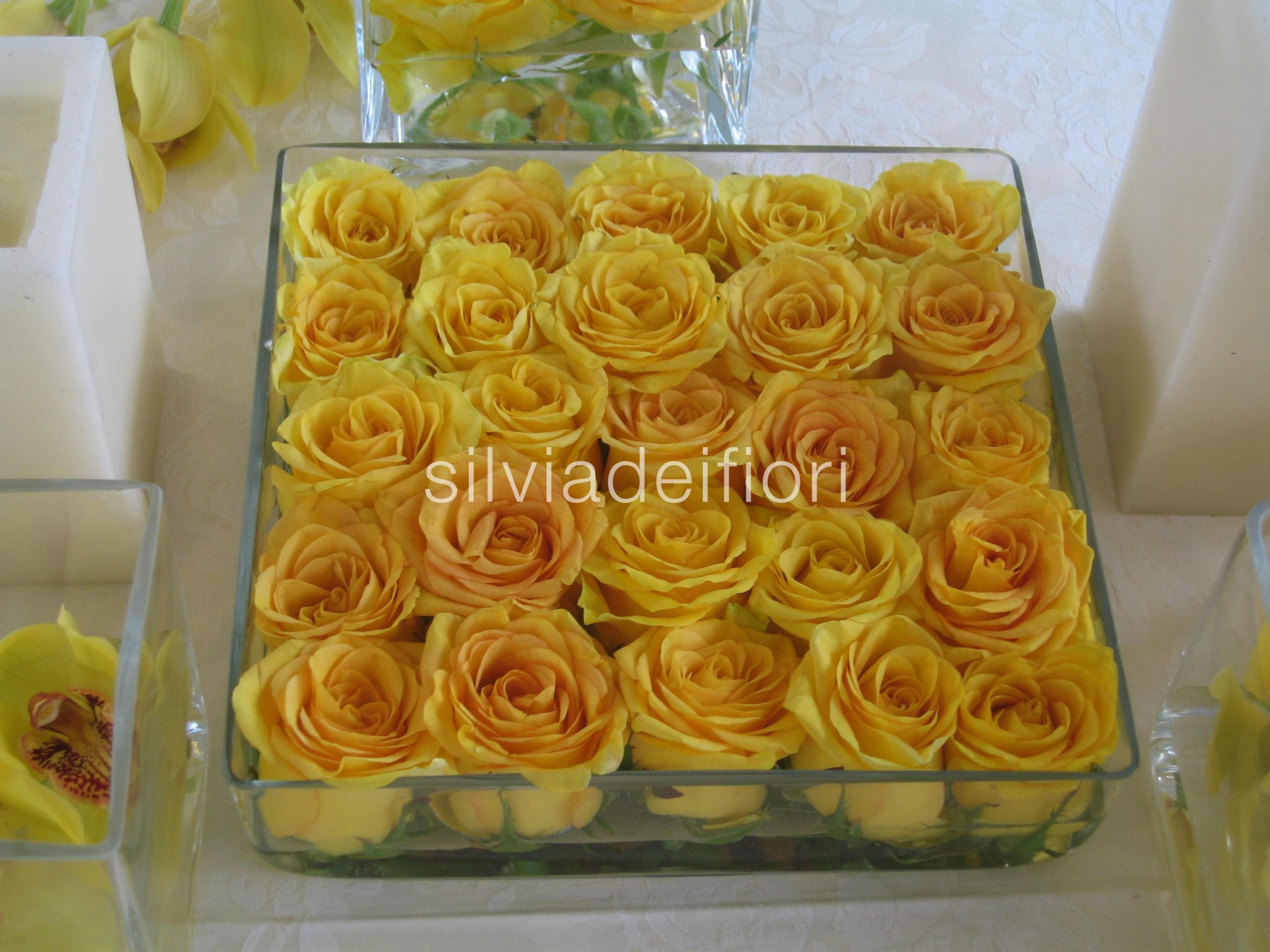rose gialle matrimonio rose gialle matrimonio