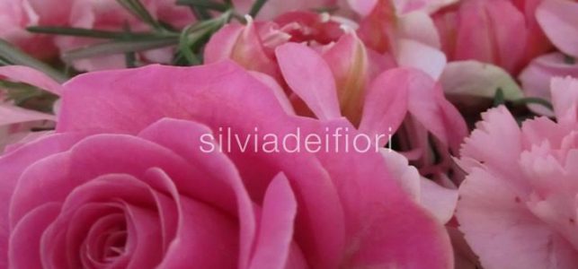 rose aqua