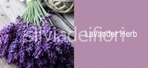 matrimonio provenzale colori lavander harb