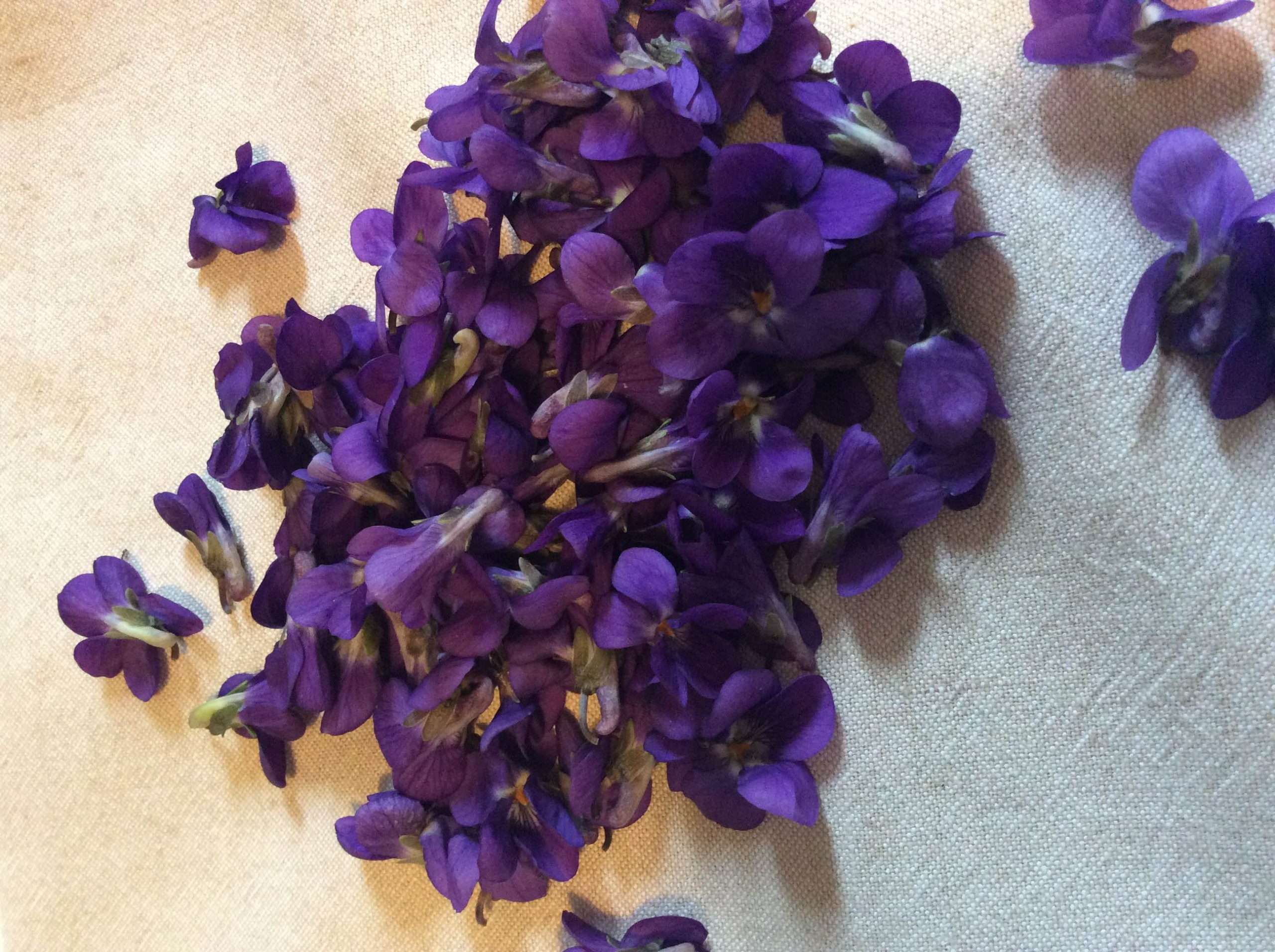 Ricette con violette