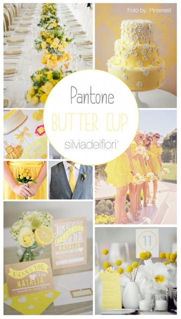 pantone butter cup