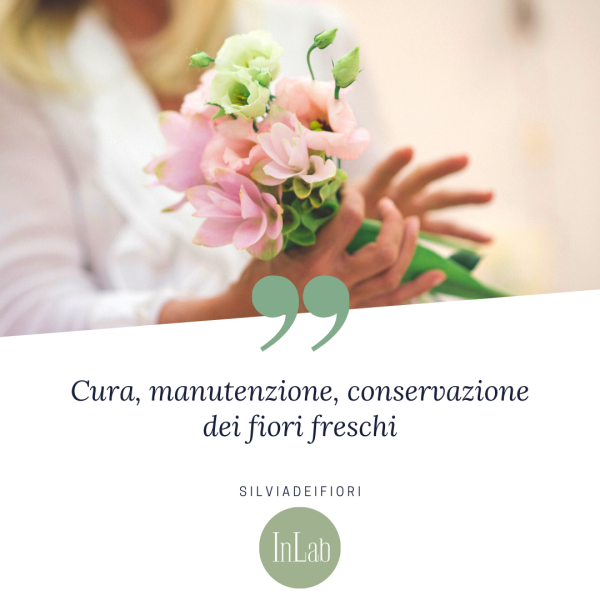 cura e manutenzione fiori