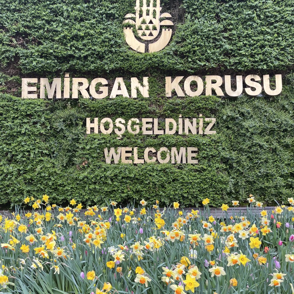 emirgan parco Istanbul 2022