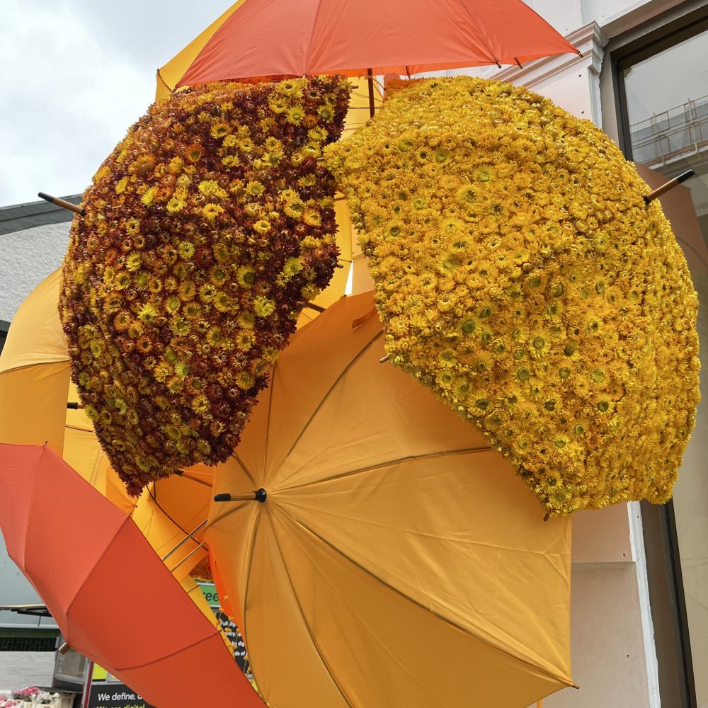 Ombrelli Londra in bloom