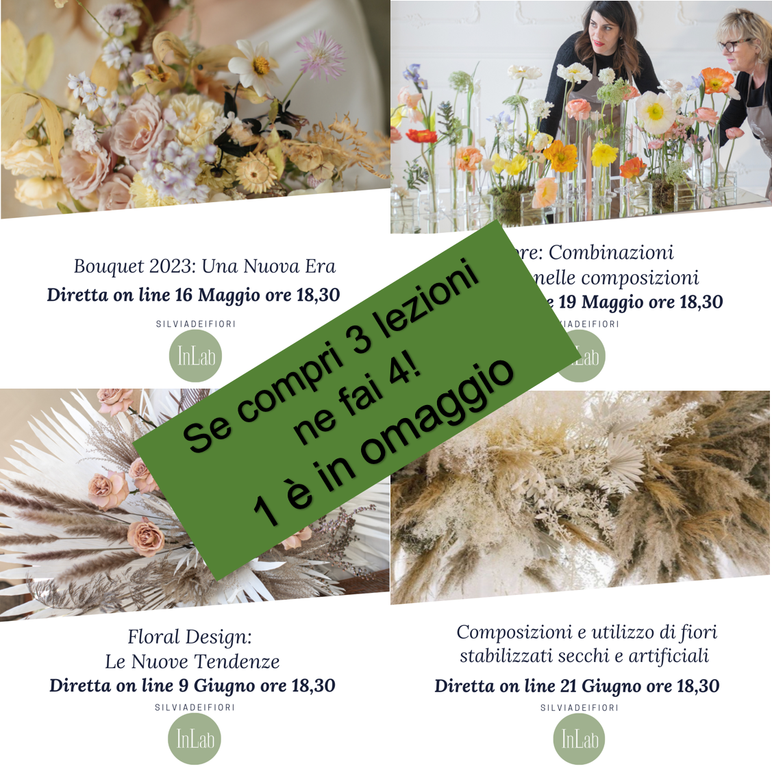 3+1 promo dopo orticola